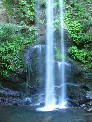 f0175875_19242517.jpg
