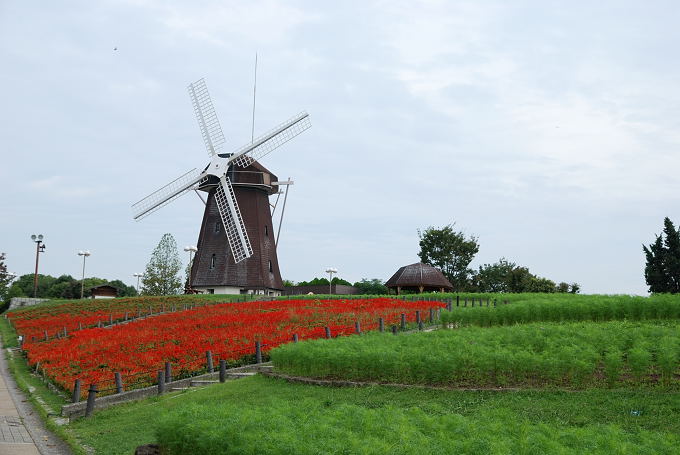f0108478_21573190.jpg