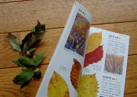 a0091680_10512261.jpg