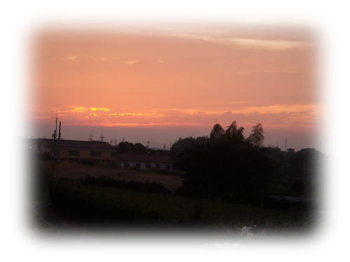 b0136683_18403546.jpg
