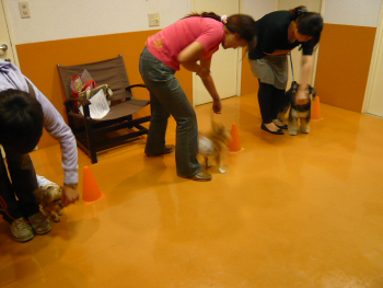 f0018384_1938145.jpg