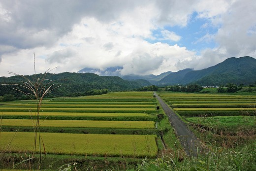 e0190885_21371217.jpg