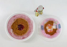 d0148087_17455536.jpg