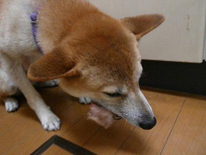 c0123890_2135468.jpg