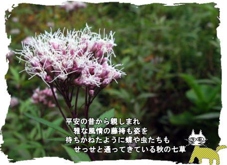 f0137096_17122682.jpg