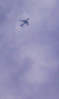 e0161697_10405472.jpg