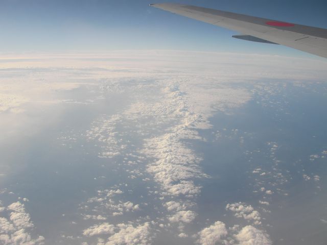 d0004301_1154282.jpg