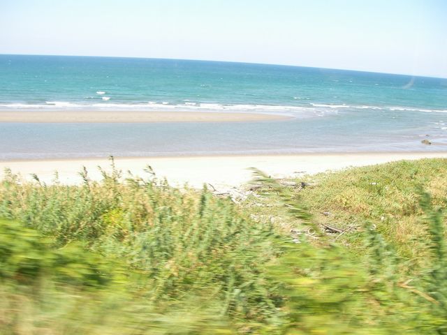 d0004301_11551058.jpg