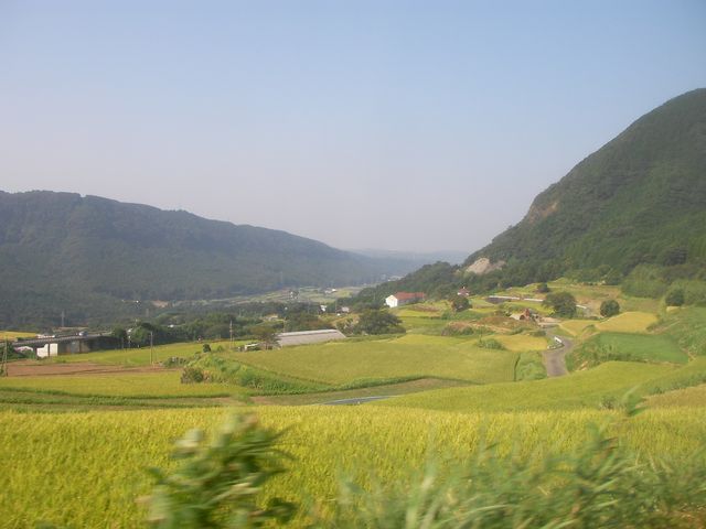 d0004301_15273623.jpg