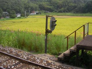 d0004301_1755435.jpg