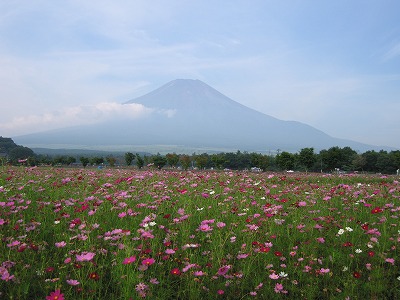 f0147602_912610.jpg