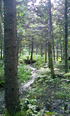 f0032403_10561854.jpg