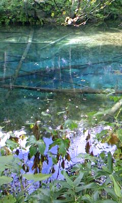 f0032403_10561875.jpg