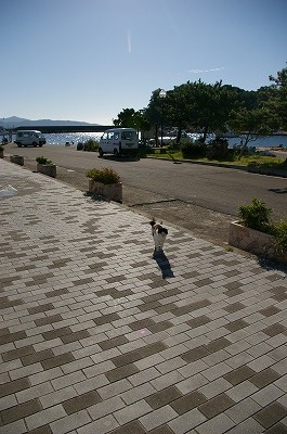 a0024005_17284964.jpg