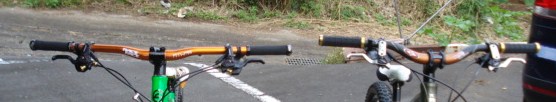e0015108_755351.jpg