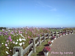 e0183208_925426.jpg