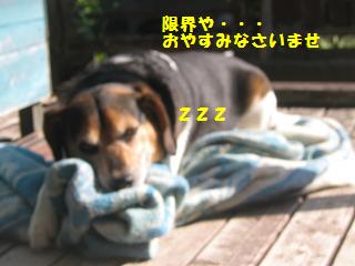 d0104209_22175831.jpg