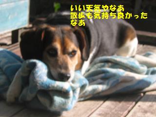 d0104209_228441.jpg