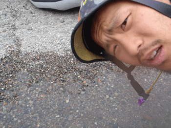 b0132710_2210225.gif
