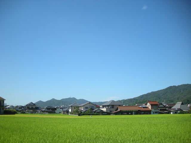 b0057612_22242776.jpg