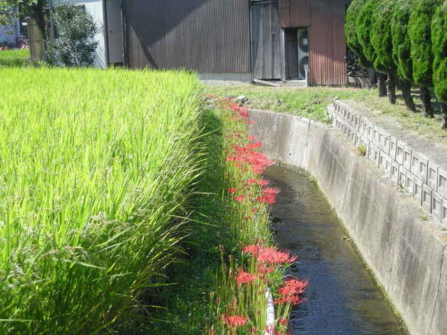 b0057612_2225648.jpg