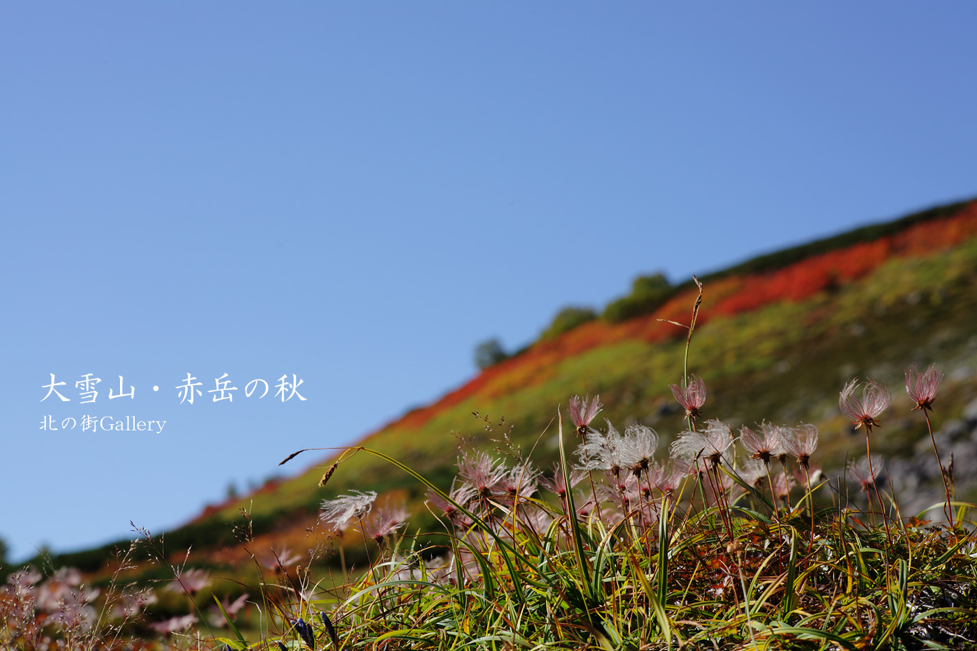 c0073613_928349.jpg