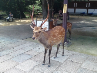 a0000014_2331847.jpg