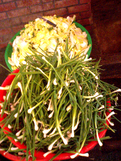 a0101715_17292879.jpg