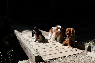 b0072515_2011776.jpg