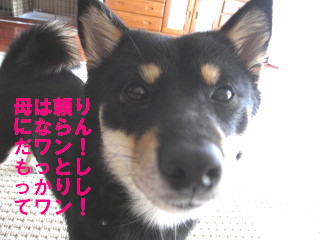 c0185516_002987.jpg