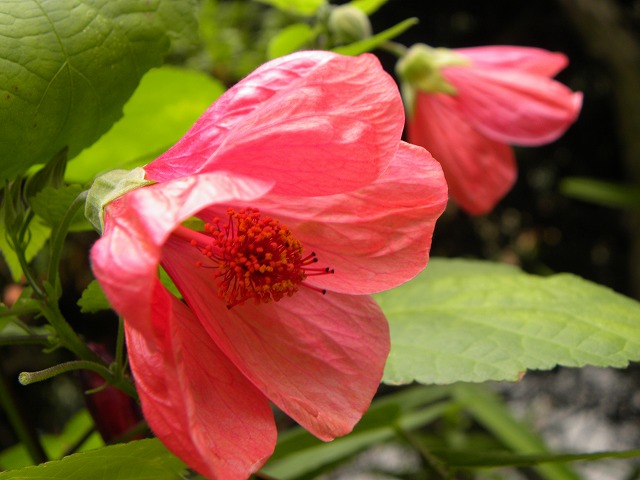 f0069723_16344582.jpg