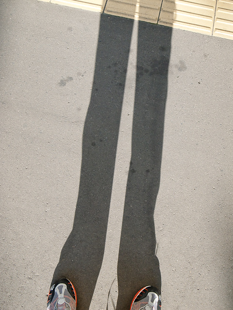 b0085526_17151745.jpg
