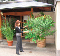 d0033734_3131839.jpg