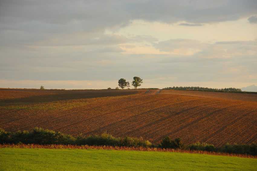 d0069235_7201558.jpg