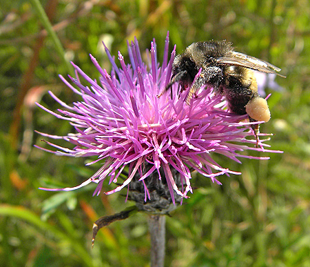 a0001354_2249260.jpg