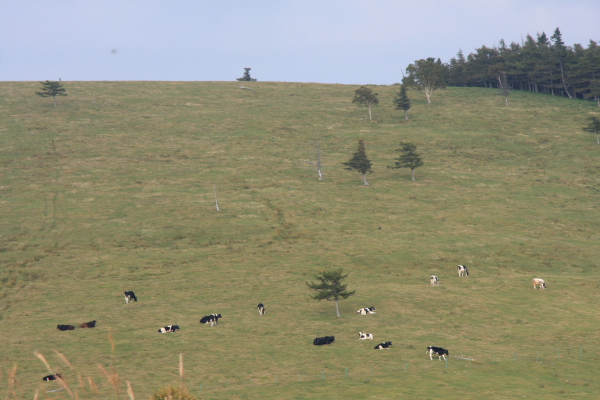 f0160554_7354567.jpg