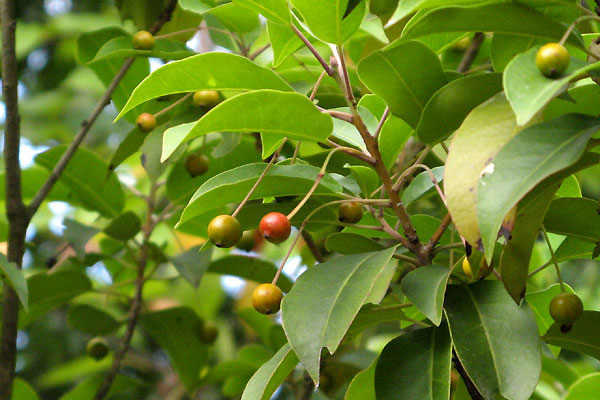 f0007956_13333140.jpg