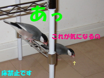b0158061_21235021.jpg