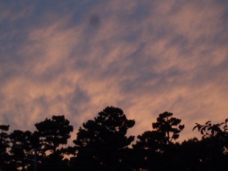 b0091164_21554613.jpg