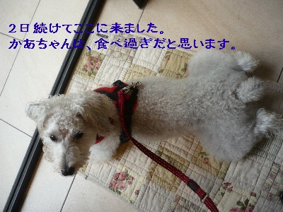 f0203369_20121376.jpg