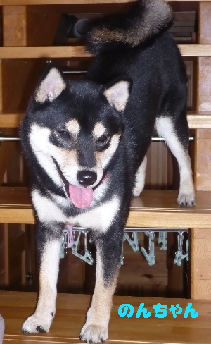 f0203369_2012256.jpg