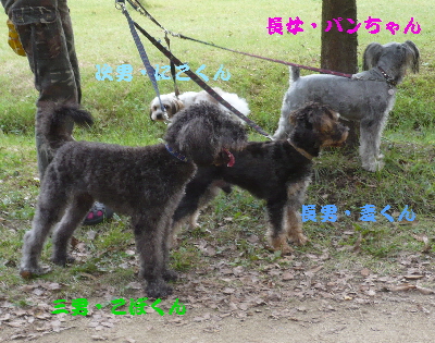 f0203369_20471774.jpg