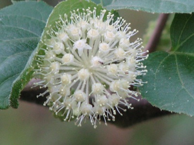 d0050472_235357.jpg