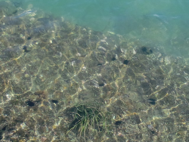 b0100973_19423986.jpg