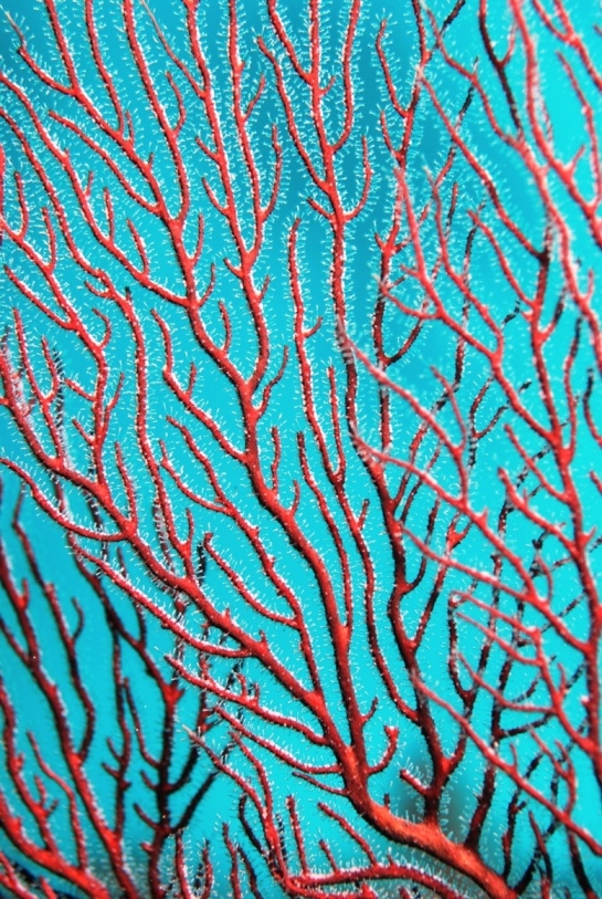 c0181073_8324657.jpg