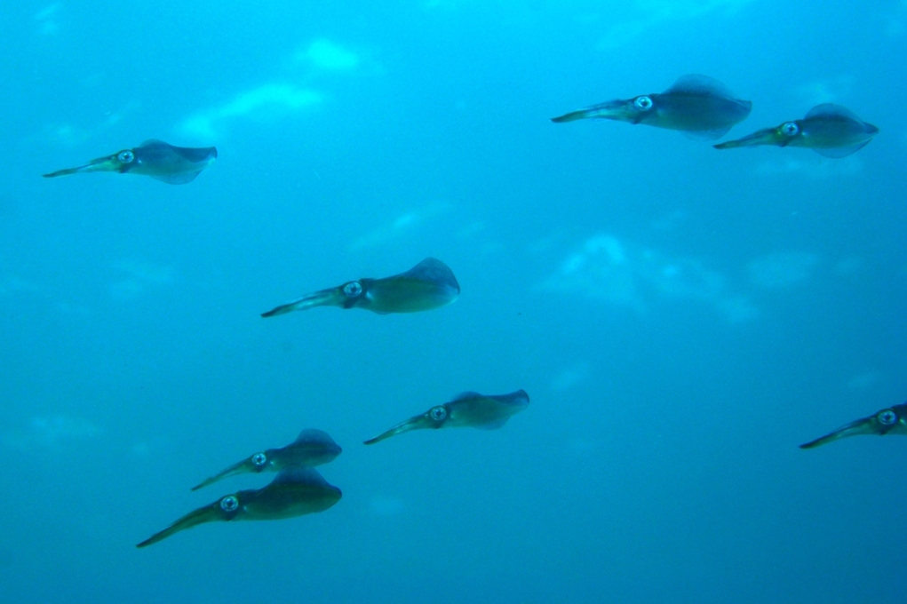 c0181073_8341415.jpg
