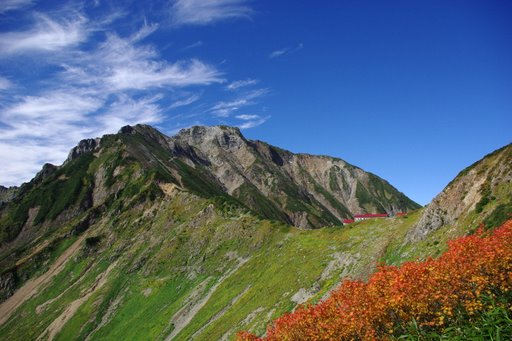 f0054075_21591155.jpg