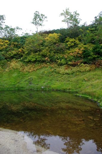 f0054075_22420100.jpg
