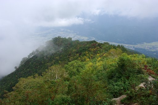 f0054075_2244593.jpg