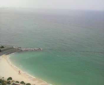 b0129280_861599.jpg